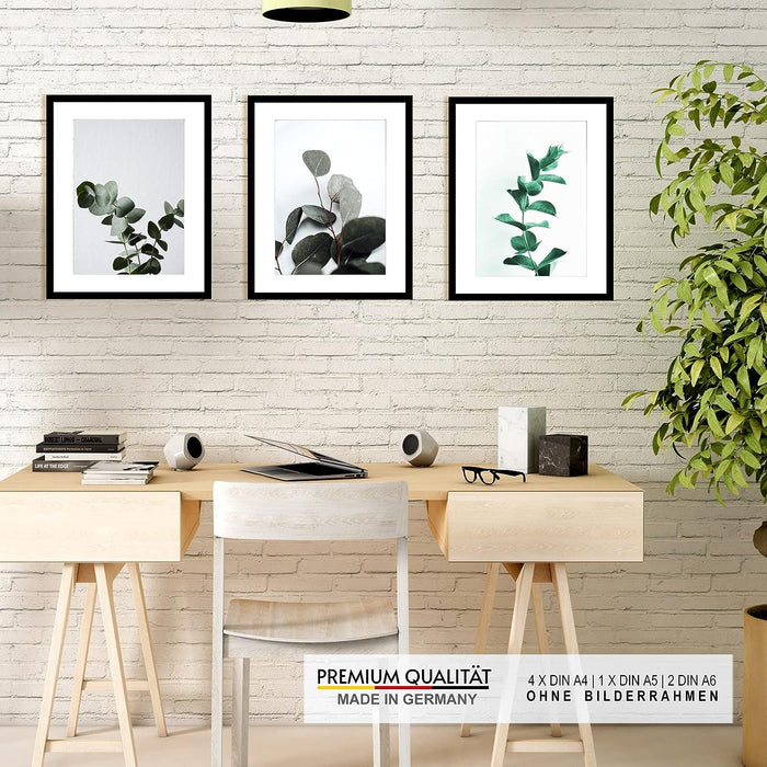 Küchen Poster Set Strand Eukalyptus